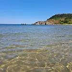 четири сезона *